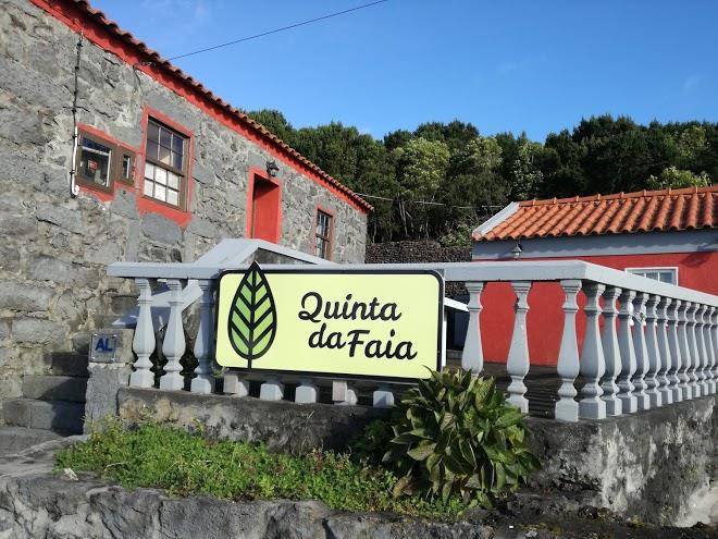 Quinta da faia