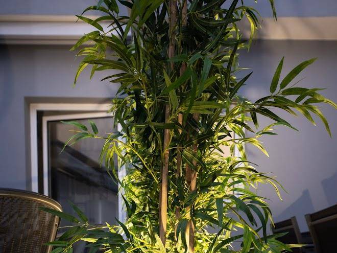 Nove Quartos Alojamento Image