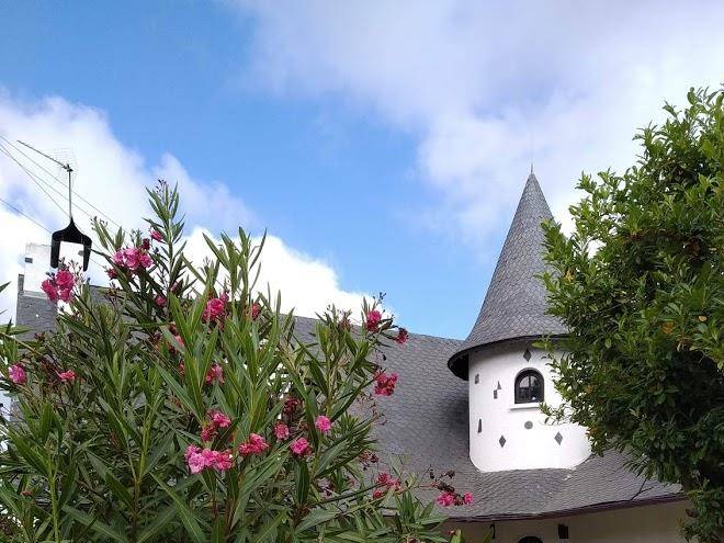 Cargal leiria