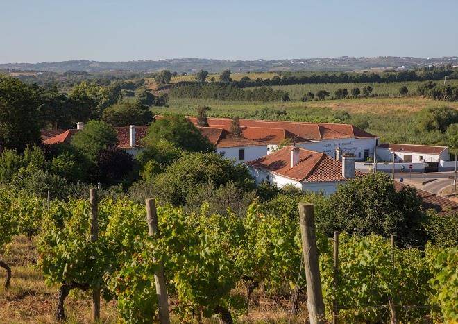 Quinta Do Sanguinhal Image