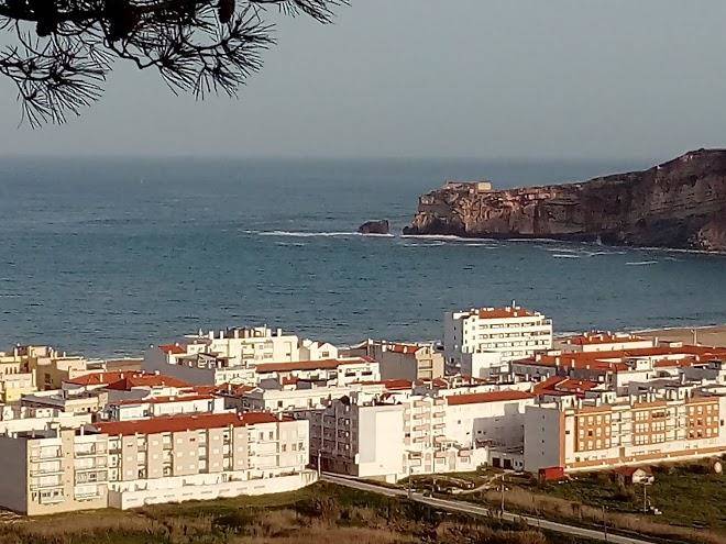 Quinta das rosas