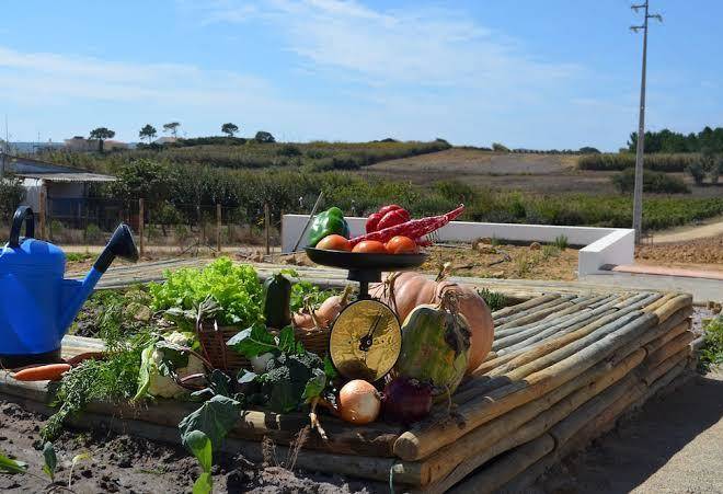 Entre vinhas & mar agroturismo