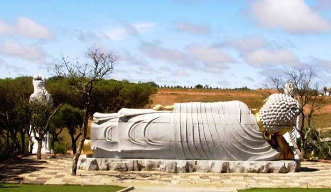 Surf And Stones Image