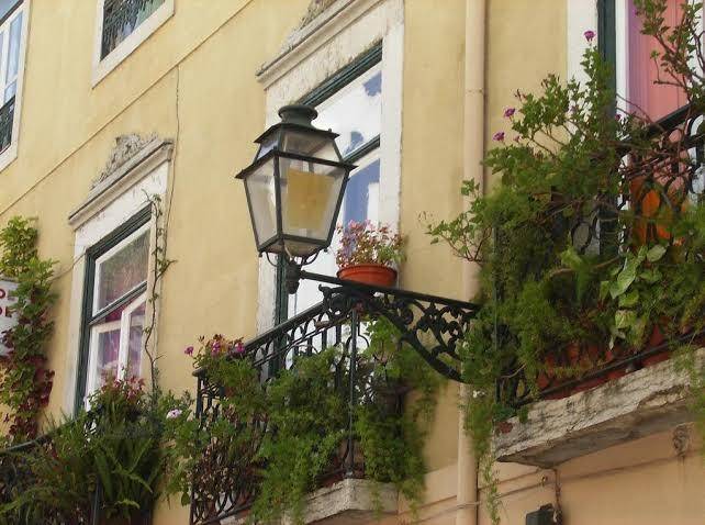 Dias e dominguez