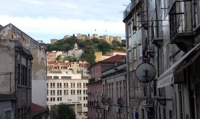 Flor Dos Cavaleiros Image