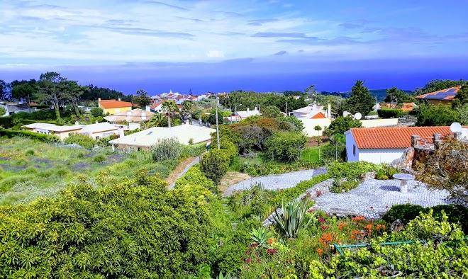 Quinta dos junqueiros