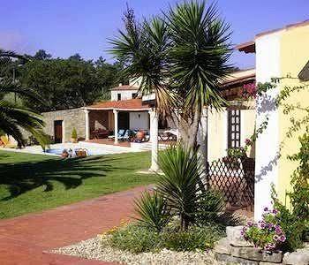 Vinha da quinta