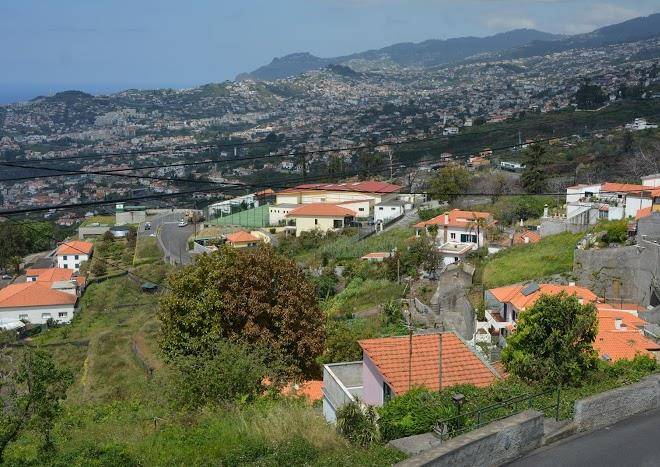 Choupana studio madeira island