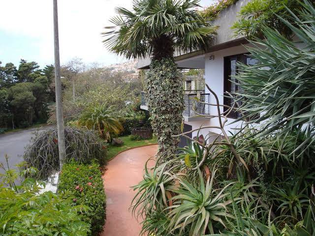 Vila gama