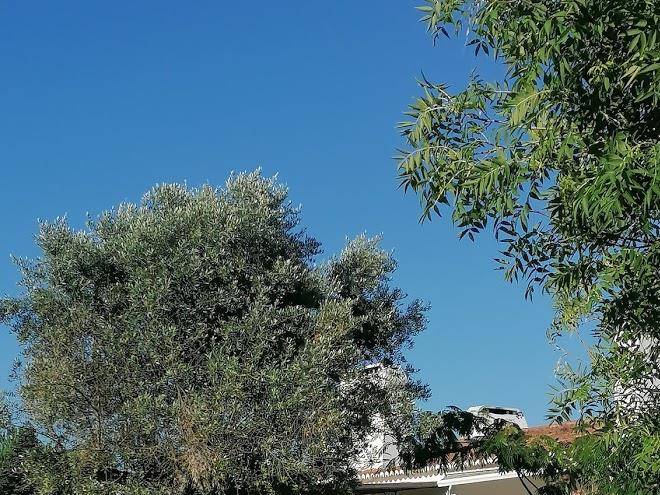 Monte Da Boavista Image