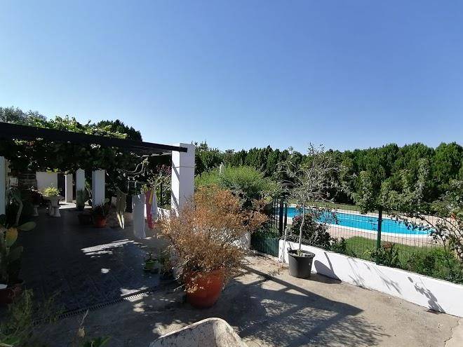 La Carapeteria Image