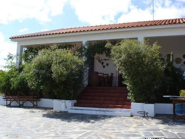 Horta do muro