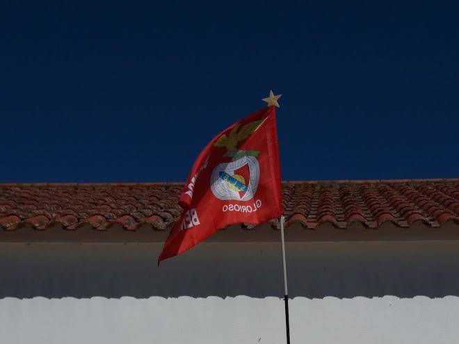 Vale torrado montargil