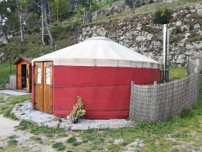 Woodpecker yurt