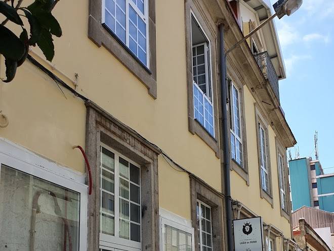 Pensao leao de ouro