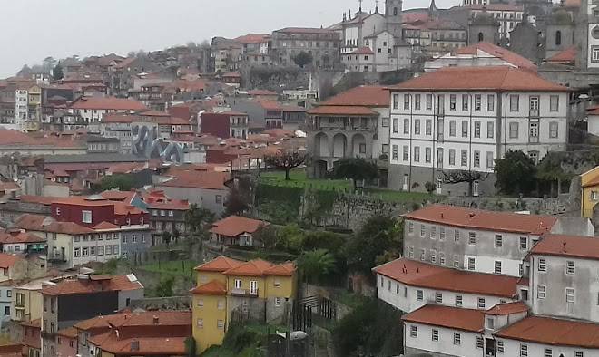 Porto wine and charm