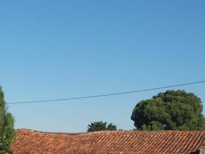 Quinta do lagar