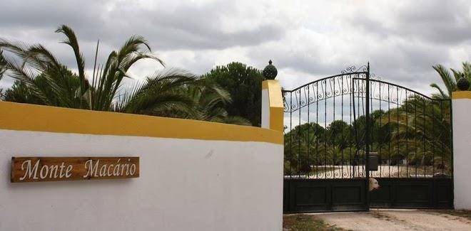 Monte macario