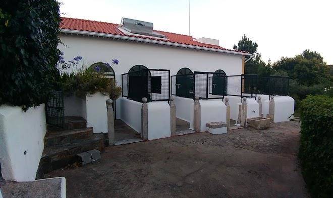 Quinta dos girassois