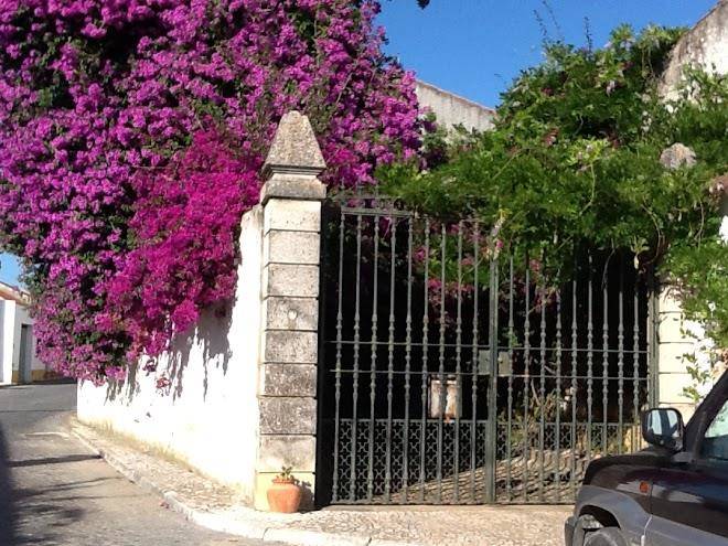 Quinta de sao joao