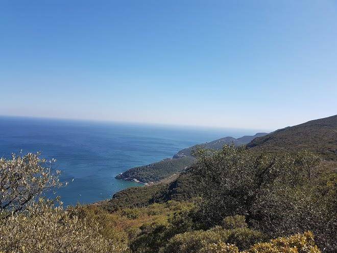 Arrabidaview