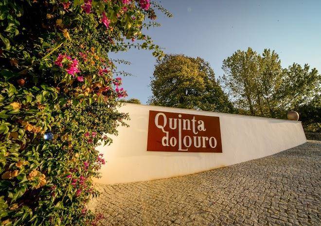 Quinta do louro