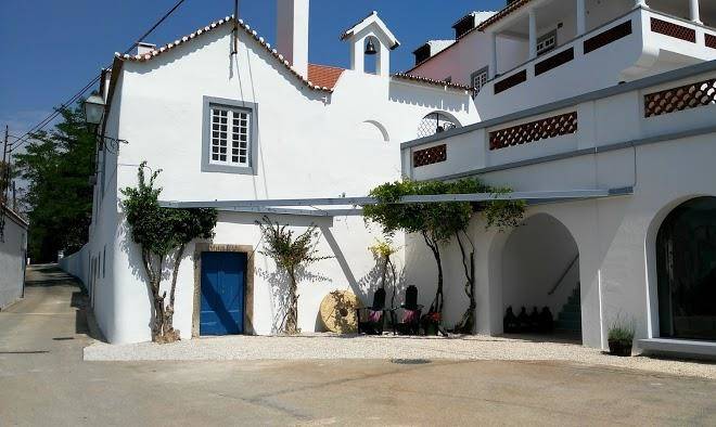 Quinta do piloto vinhos lda