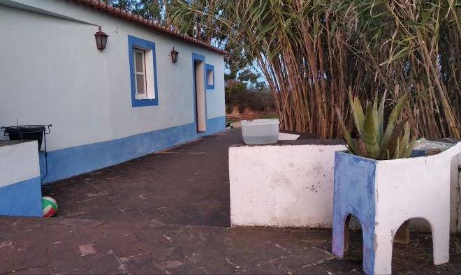 Terra verde
