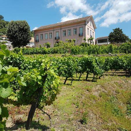 Quinta barqueiros d'ouro
