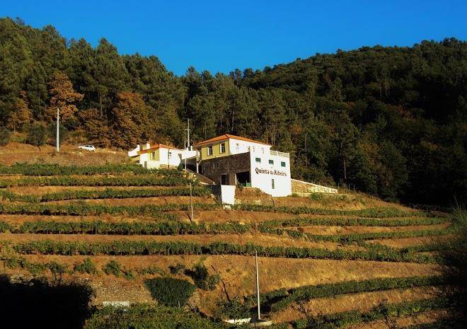 Quinta da ribeira