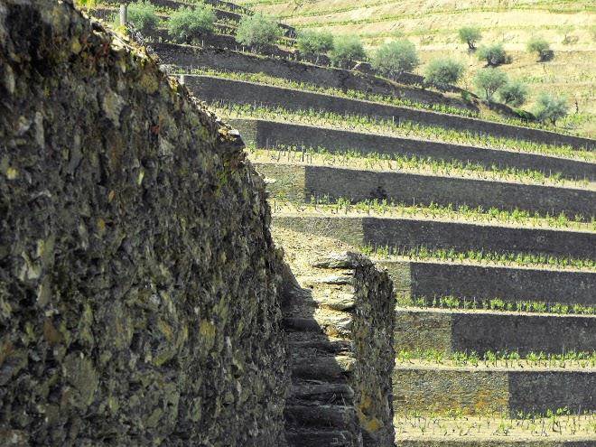Quinta de santo antonio dois lagares doc douro