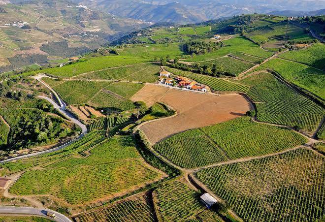Quinta dos espinheiros