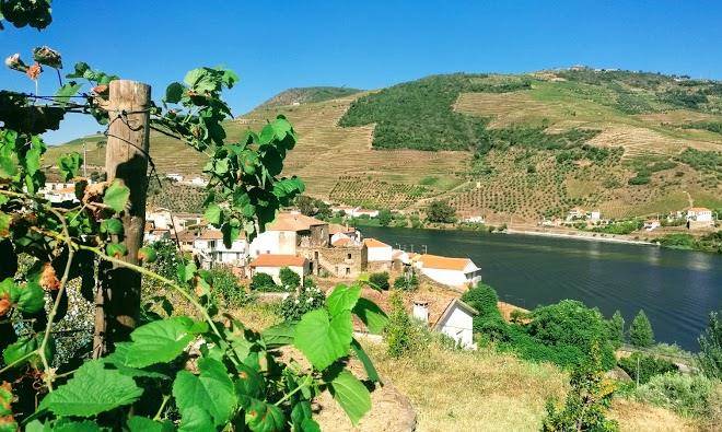 Quinta Da Azenha Turismo Rural Image