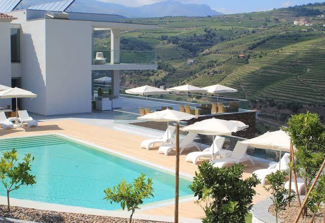Delfim douro hotel
