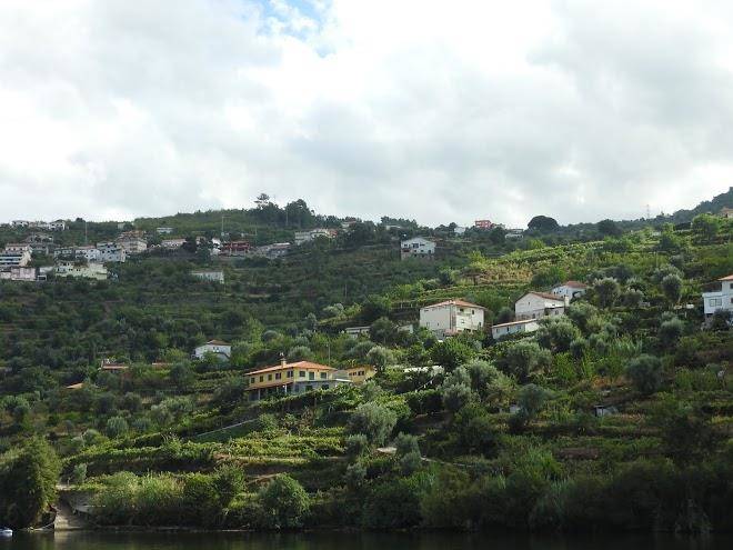 Quinta pereira de carvalho