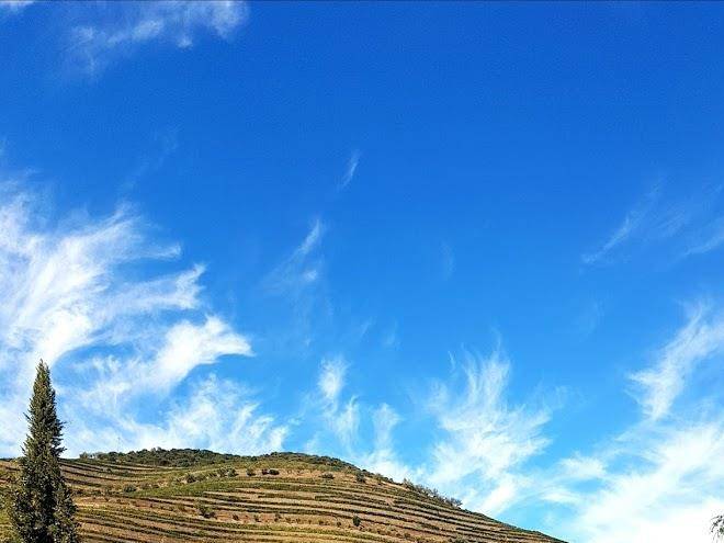 Quinta de s jose turismo rural