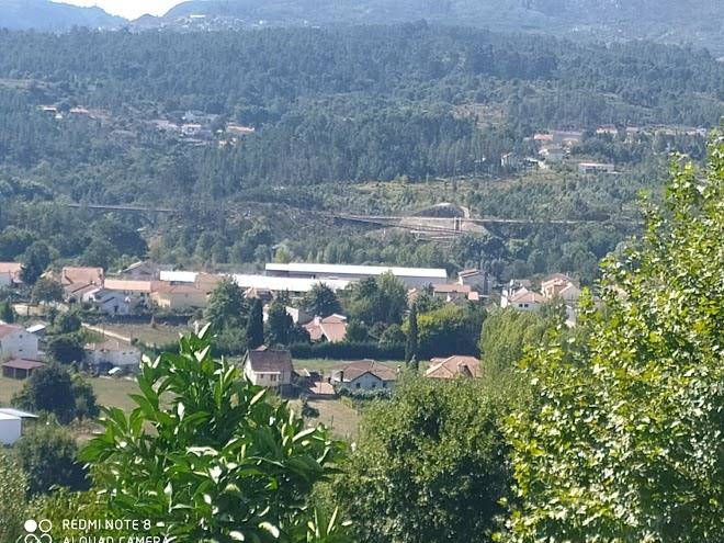 Quinta De Canhoes Image