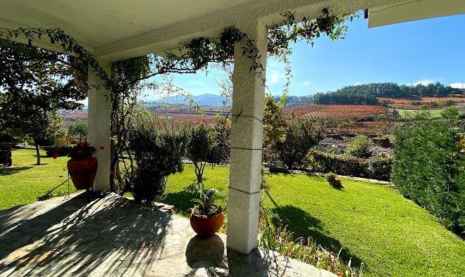 Quinta da padrela