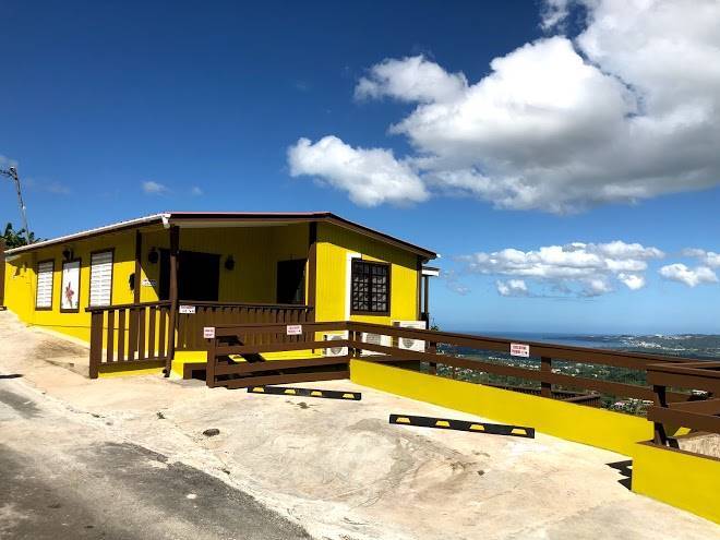 Hibiscus Pr Apt Image