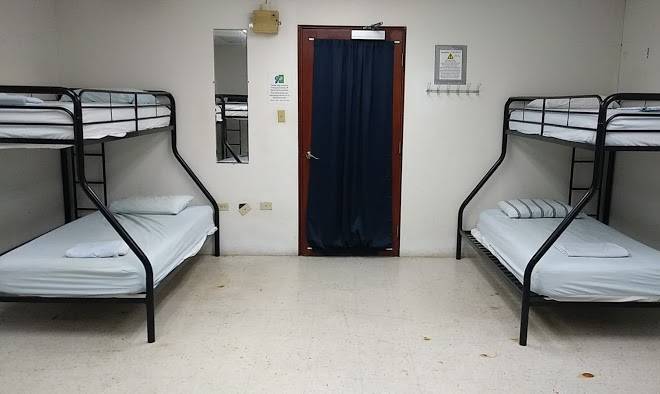 Caribbean Hippo Image