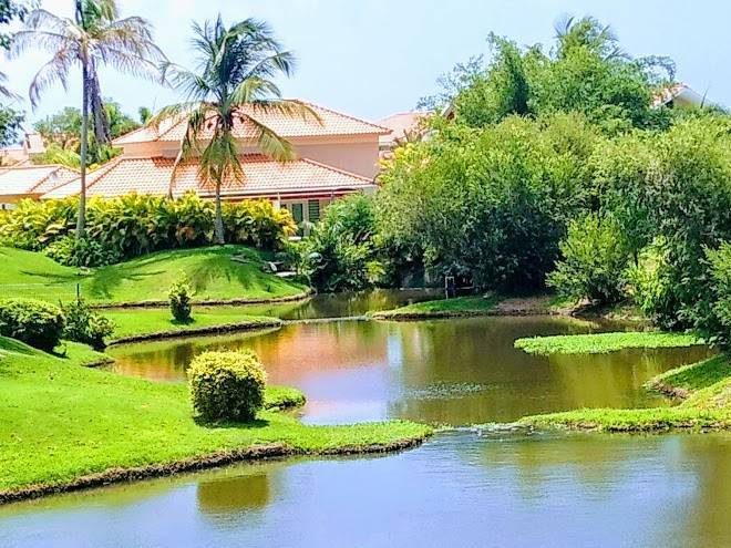 Surfside Palmas Resorts Image