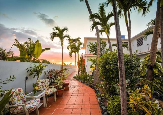 Coconut palms inn oceanfront