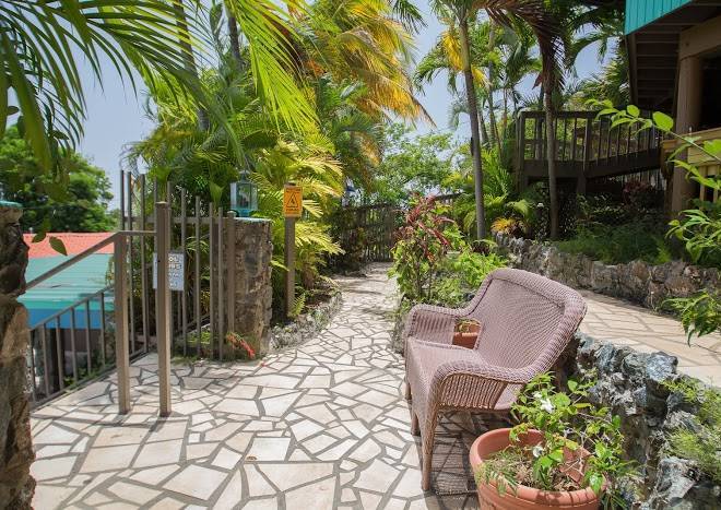 Lazy parrot inn