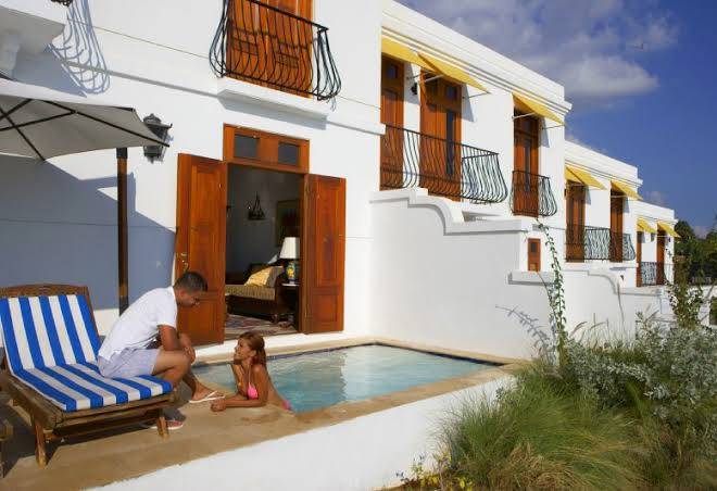 The Horned Dorset Image