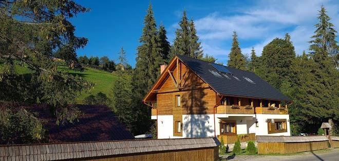 Arnica Montana Image