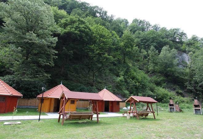 Podul cetatii