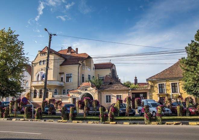 Hotel Conacul Salonti Image