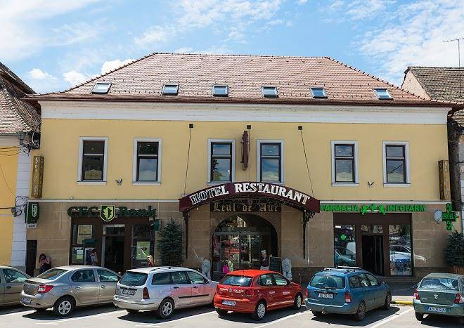 Hotel Leul De Aur Sebes Image