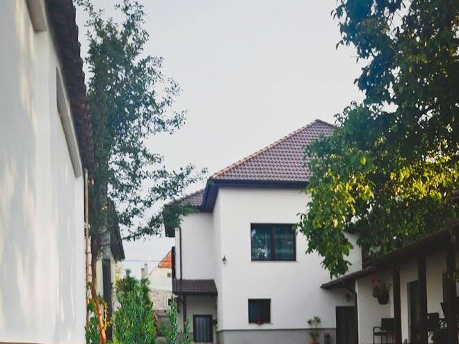 Vila lion