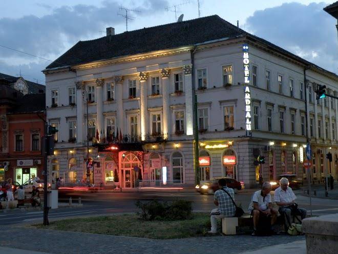 Hotel ardealul